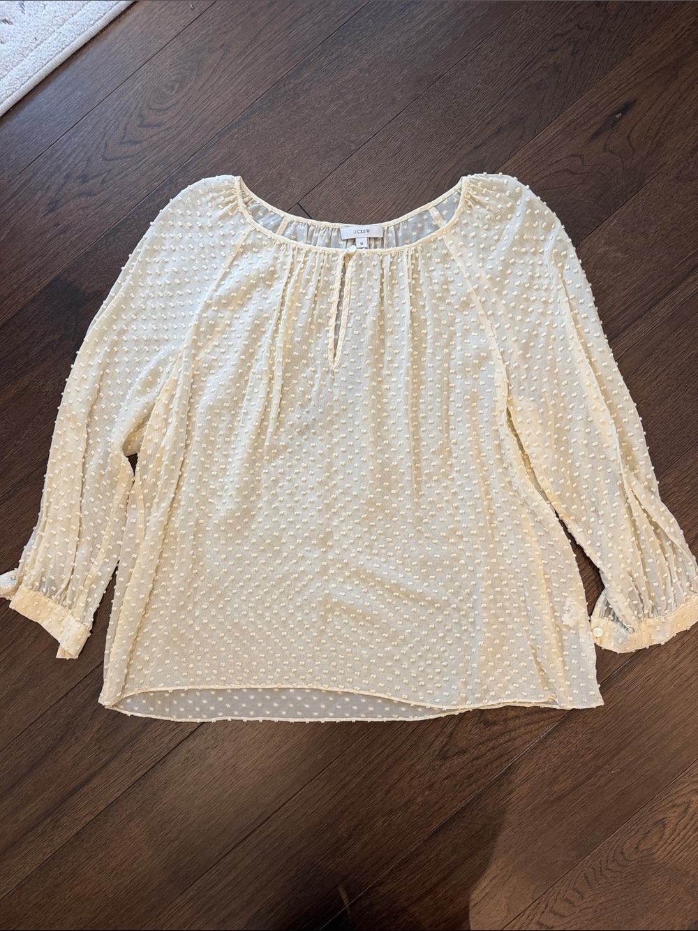 J. Crew Women’s Sheer Polka Dot Long Sleeve Blouse Size 10 - C1-142
